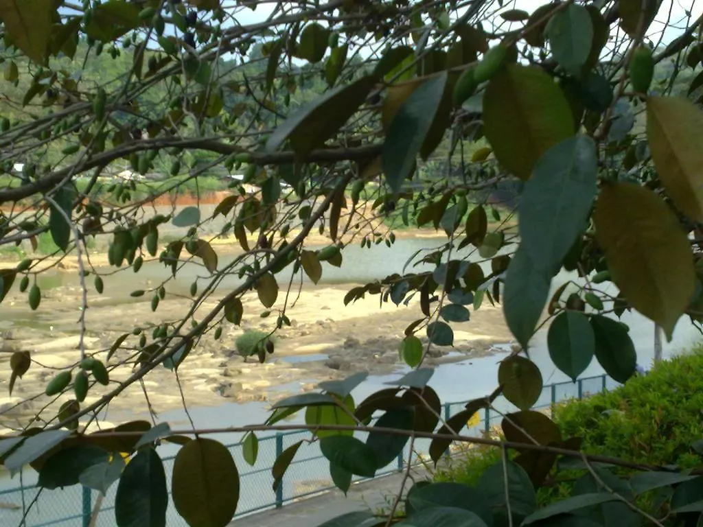 303 Homestay Kandy Sri Lanka